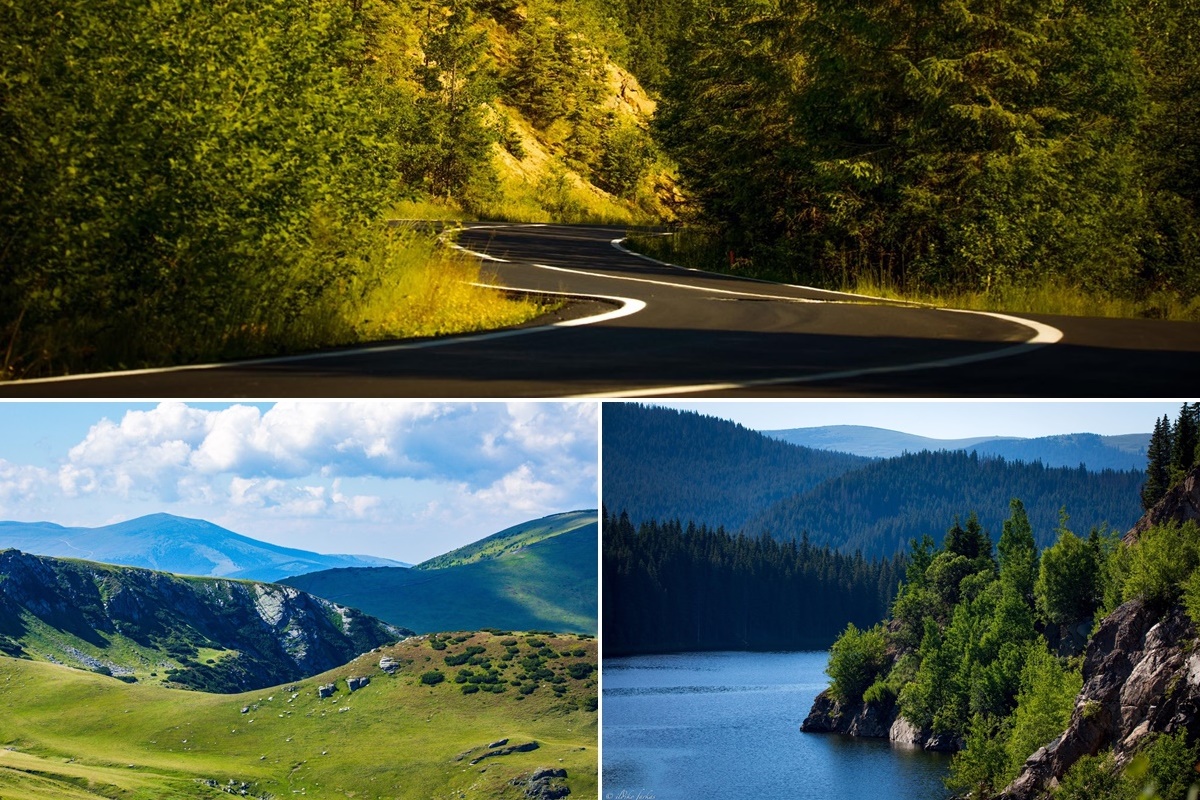 Pe urmele Transalpinei - natura, natura și... natura